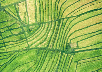 A aerial view of a field