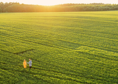 Figures in a field at sunset