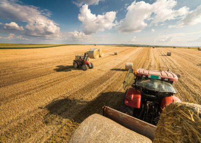 Harvesting hay in a field