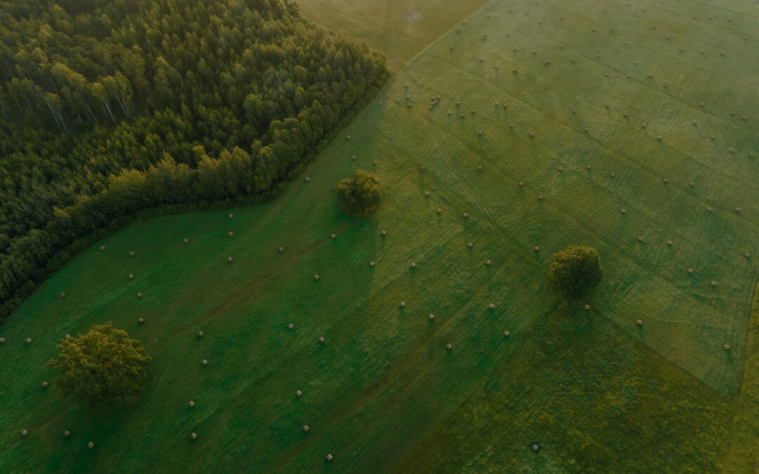 2025 & 2026 EcoHarvest Payment Rates